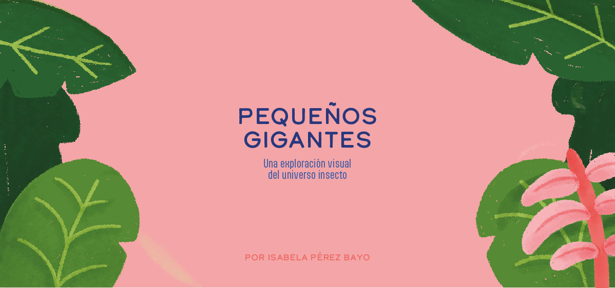 Pequeños gigantes