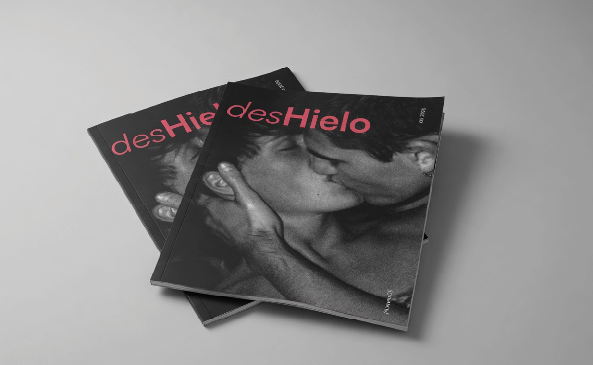 Proyecto diseño gráfico - desHielo