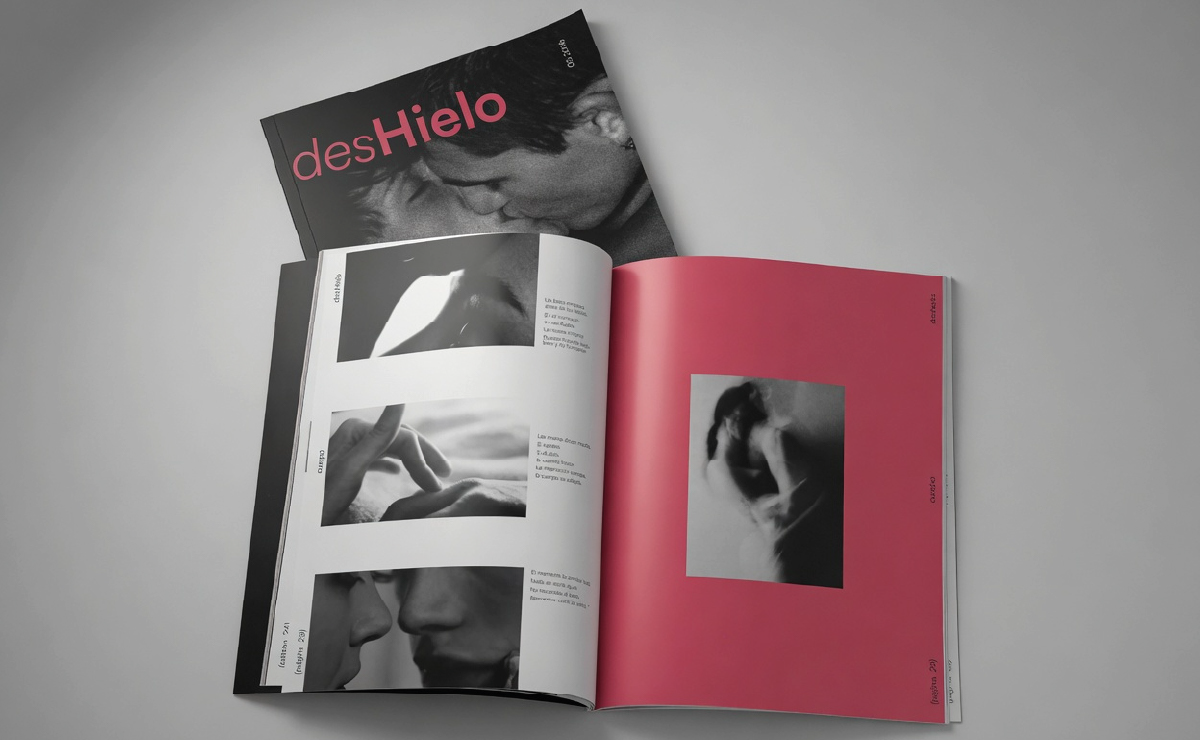 Proyecto diseño gráfico - desHielo