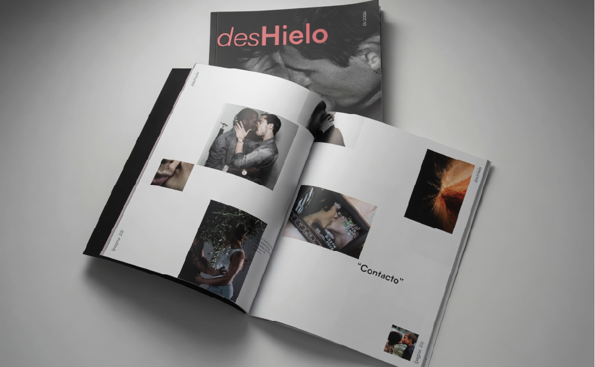 Proyecto diseño gráfico - desHielo